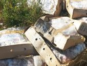 В поле под Симферополем нашли много протухших куриных тушек