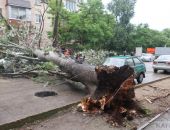 �� ���������� ������� ���� ������ � �������� ����������