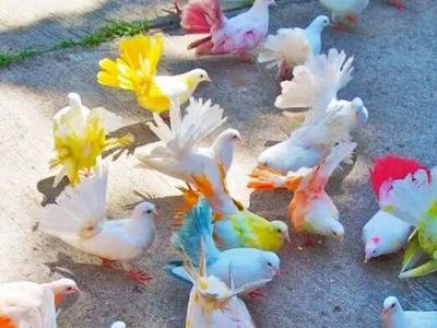  � ��������� ������� ������ � ��������� ������������ �������