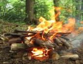 ����� ��������� ������������ �������� ����������� 