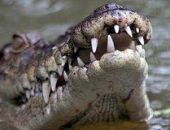 ��� ������������� ������ ������� �� ���������