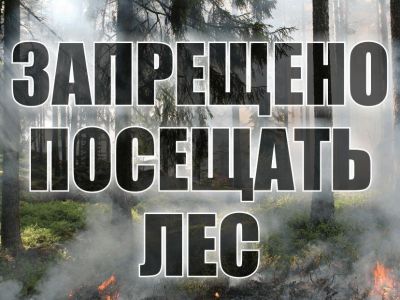 � ����� ���������� ��������� ����� � 12 ���� �� 1 �������
