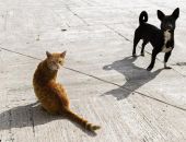 ������� ��������� ��������� �������� ����� � �����