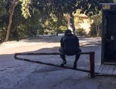 На парковках Ялты снова орудуют мошенники