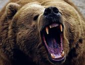 � �������� ������� �������� ������ ������� 