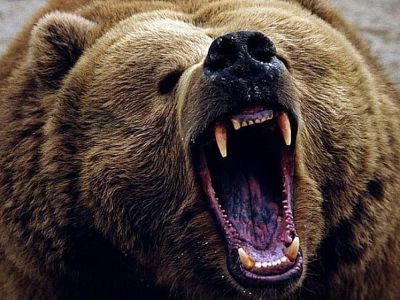 � �������� ������� �������� ������ ������� 