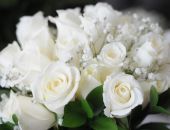 � ������ ������ ������� �� ����� ������