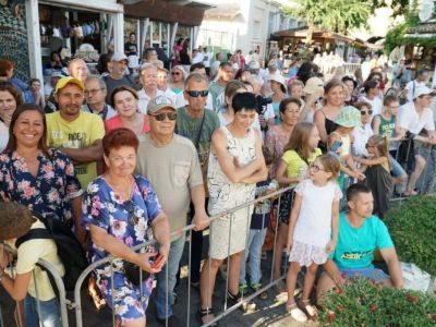 � ��������� ������� �������� ���������� ����