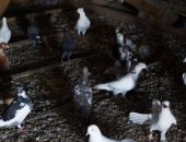 ������ �� ����� � ���  � ����!