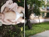 � ������ ��������� ���� ���������� �� ����� ��������