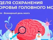 ������ ���������� �������� ��������� ����� 