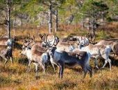 ���������� ����� ������ � ������ � ������� �� 420 ��������� ������