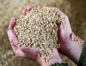 ������ �������� ������ �� ������� ���� �� ����� 2023 ����: ����� �� �������