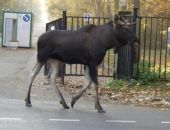 � ������ ������� ��������� ����, ������� ����� ����� � �������� �����