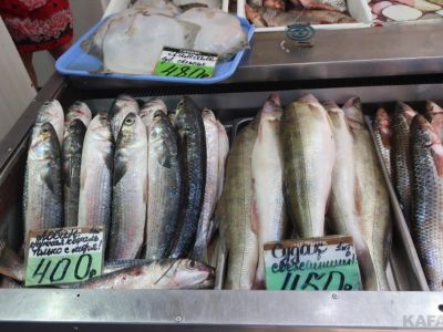 ���� �� ����� ��������:  �������� ��������, �������� �����