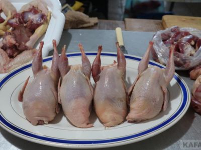 ���� �� ����� ��������:  �������� ��������, �������� �����