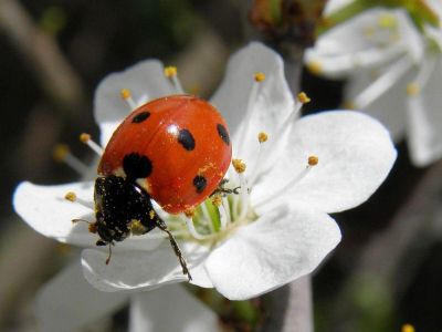 � ����� ������ ������� ���������� ��� ������ � ����������� 