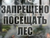 До 22 августа продлен запрет на посещение леса в Крыму