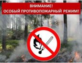Государственный пожарный надзор Феодосии предупреждает