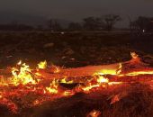 ������ ������ �� ������� ����� ������ ������������� � ��� �� ��� ���