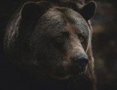 ������� �������� �� ������� � ���� ��� �������