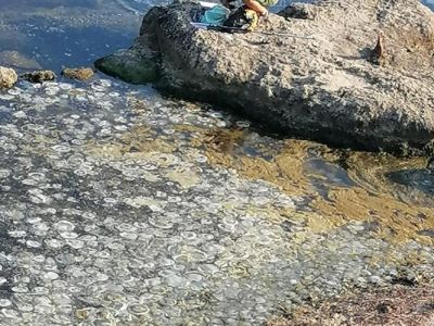 �� ����, � �������� ������: ���������� ����� ��� � �������