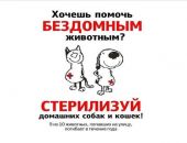 На стерилизацию бездомных животных в Крыму выделили 30 млн. рублей