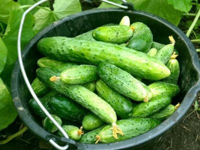 � ����� ���������� � ����������� ������ �������