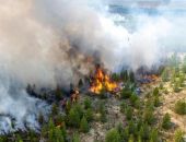 ��� � ���� ���������. �������� ��� �� ������!