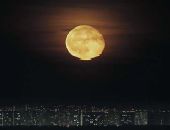 ������ �������� ������ �� ������� �������� �� ���� ���� ����� ���