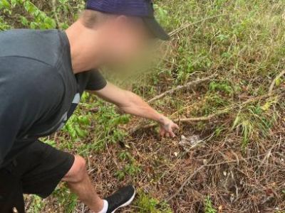 � �������� ����������� ��������� �������������� � ����� ����������