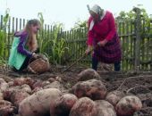 � ������ ����� �������� �������