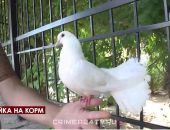 � ����� �������� ���������� �� �������� �� ���� ��� �������