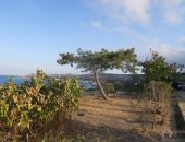 ������� ����� ��������� ������ ������� ������ 