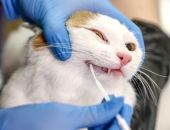 � �� �������� �����������  ����� ������� ������� ������������ ����������