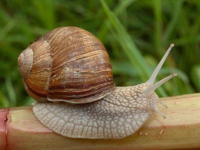 � ���������� ����� ������� ��������� �����