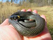 ��������� ����� � ����� ���������� ������ ����