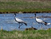 � ���������� ��� �������!