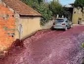 �������� ������ �������� ���� ��������� �� �����