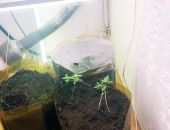 � �������� ����������� ��������� �������, ������� ���������  �������