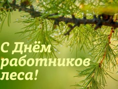 � ����  ��������� ����!