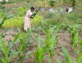 ����� � ���� ������ �������