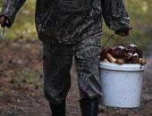 ������� ������������ � ������������ �������� ������ �� ���� ������