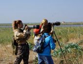 ��������������� � ����������� �� �������!