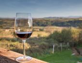 ������ �� ���� � ������ � ��� 2024 ���� ������� � ��� ����