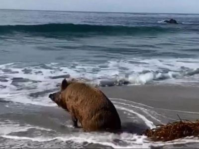 � ����� �������� ������� ����������� �� ���� ����� �����