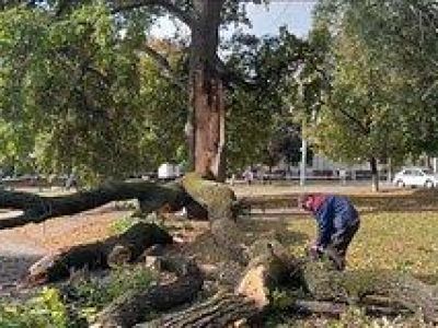 � ������ ����� ������, ���������� � ����� ������ ����������� ����� 