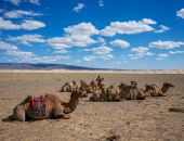 ������, ����� � �������� �������� ���������� "������� ������ ����" 