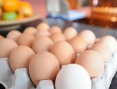В Севастополе отмечают значительный рост цен на яйца
