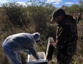 � �������� �������� ������������ ����� �������� �� ���������